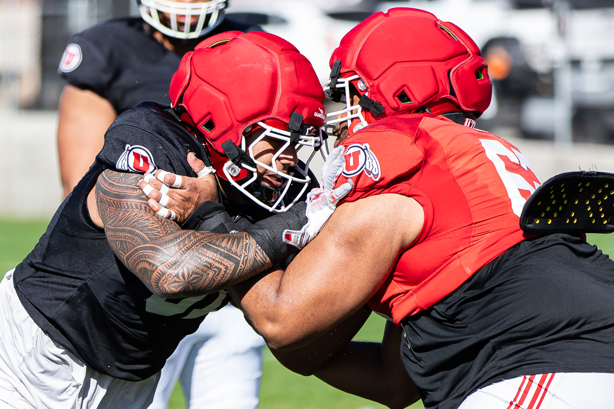 Utah cancels its spring football game for a 'fan day,' so why the change?