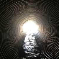 Stinky dispute between feuding southern Utah brothers results in criminal charge