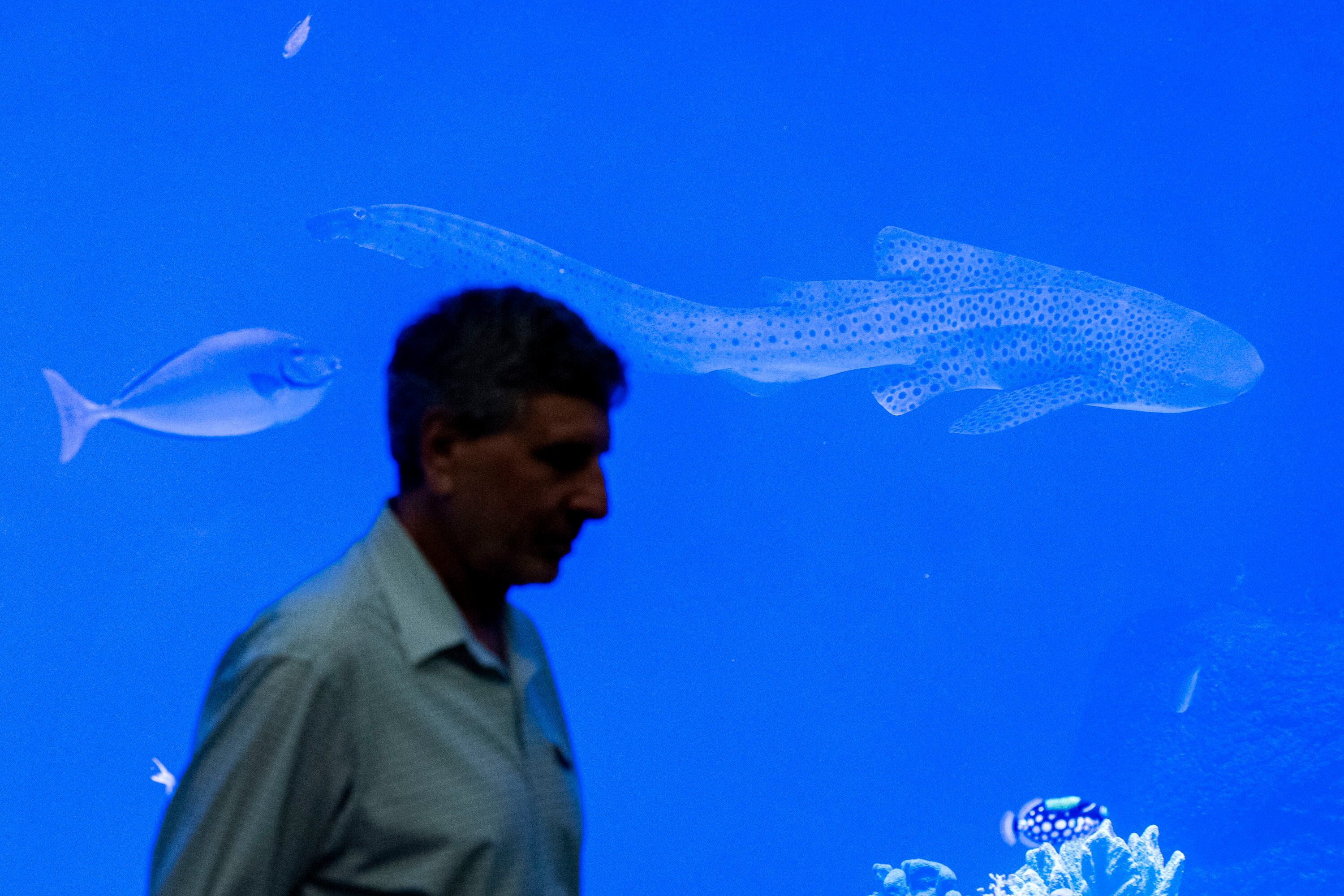 Fish swim by as Daniel Horns, professor of geology and dean of the College of Science at Utah Valley University, walks back to his seat after speaking during an event announcing a partnership between UVU and the Loveland Living Planet Aquarium in Draper on Wednesday.