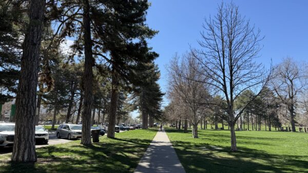 Library discussions bring men's mental health to the surface