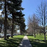 Library discussions bring men's mental health to the surface