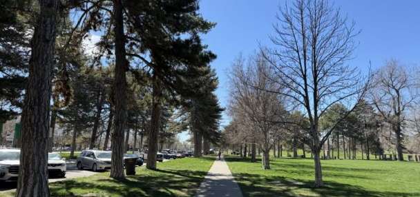 Library discussions bring men's mental health to the surface