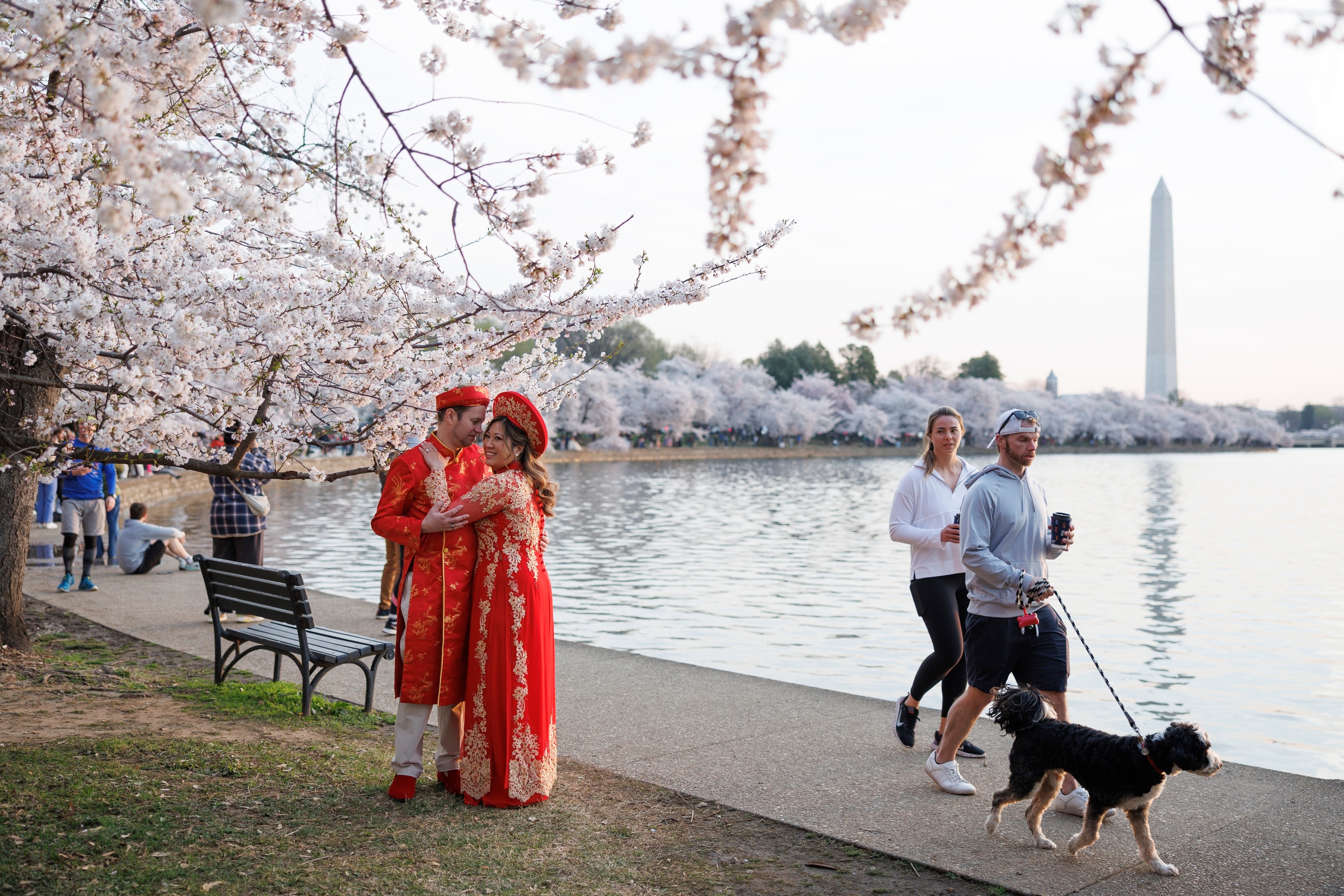 Visitors embrace while standing among the cherry blossom trees along the tidal basin on the National Mall on Thursday in Washington.