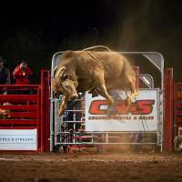 Tuacahn stage transforms into rodeo arena for PRCA Xtreme Bulls
