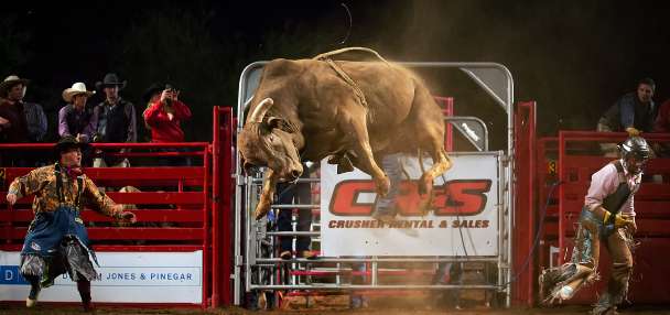 Tuacahn stage transforms into rodeo arena for PRCA Xtreme Bulls