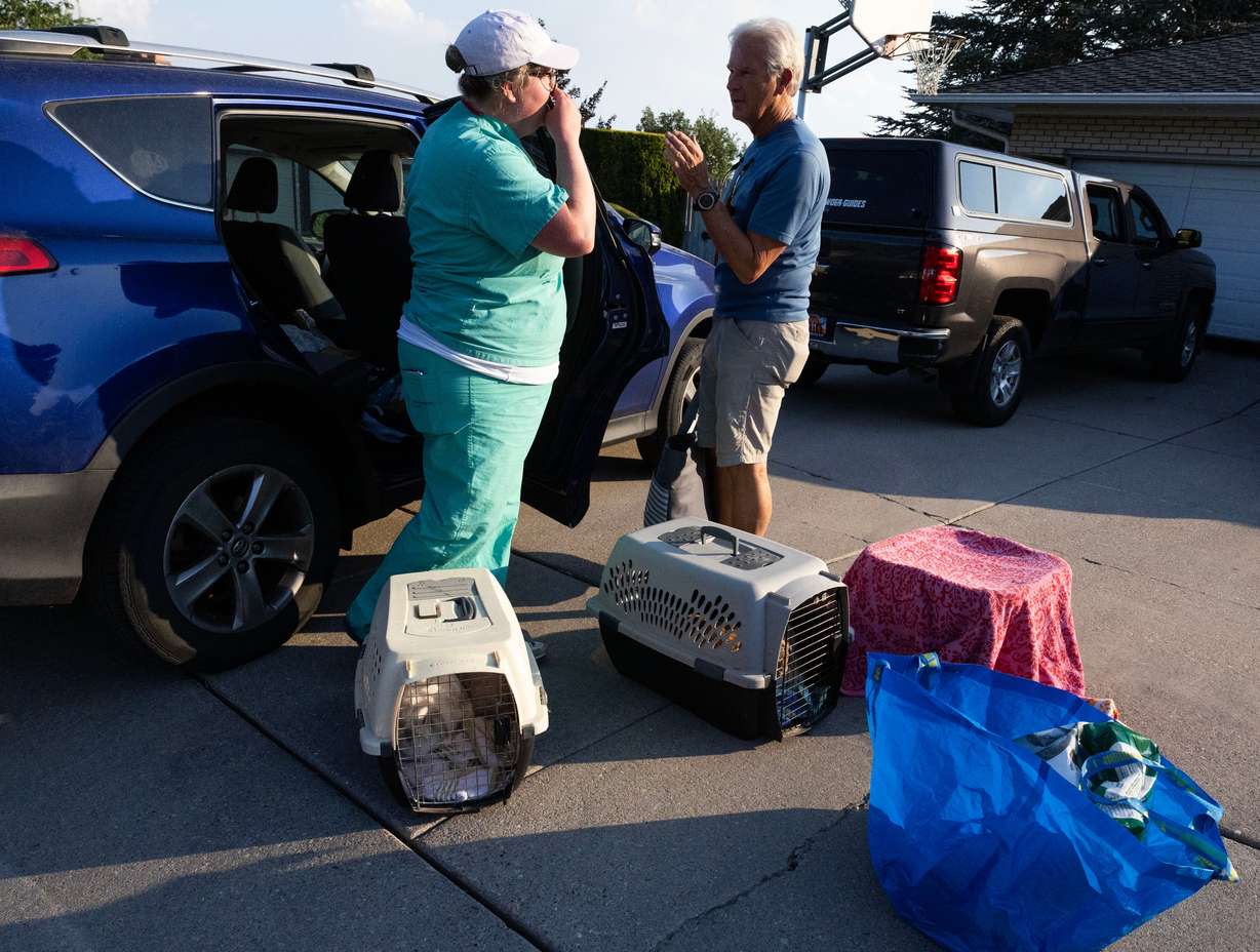 Heather White, who was house sitting for friends on vacation when they received an evacuation order, talks about what to do next with Curt Peterson after they evacuated with their friends three dogs, six bunnies and a bearded dragon because of the wildfire burning around Ensign Peak, which was encroaching on residential areas in Salt Lake City on July 20, 2024. Utah is preparing for what could be an active fire season.