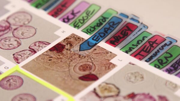 'Buckle up': Allergy season hitting early, and hard, in Utah