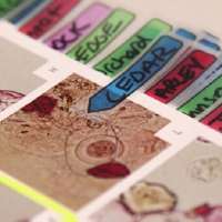 'Buckle up': Allergy season hitting early, and hard, in Utah