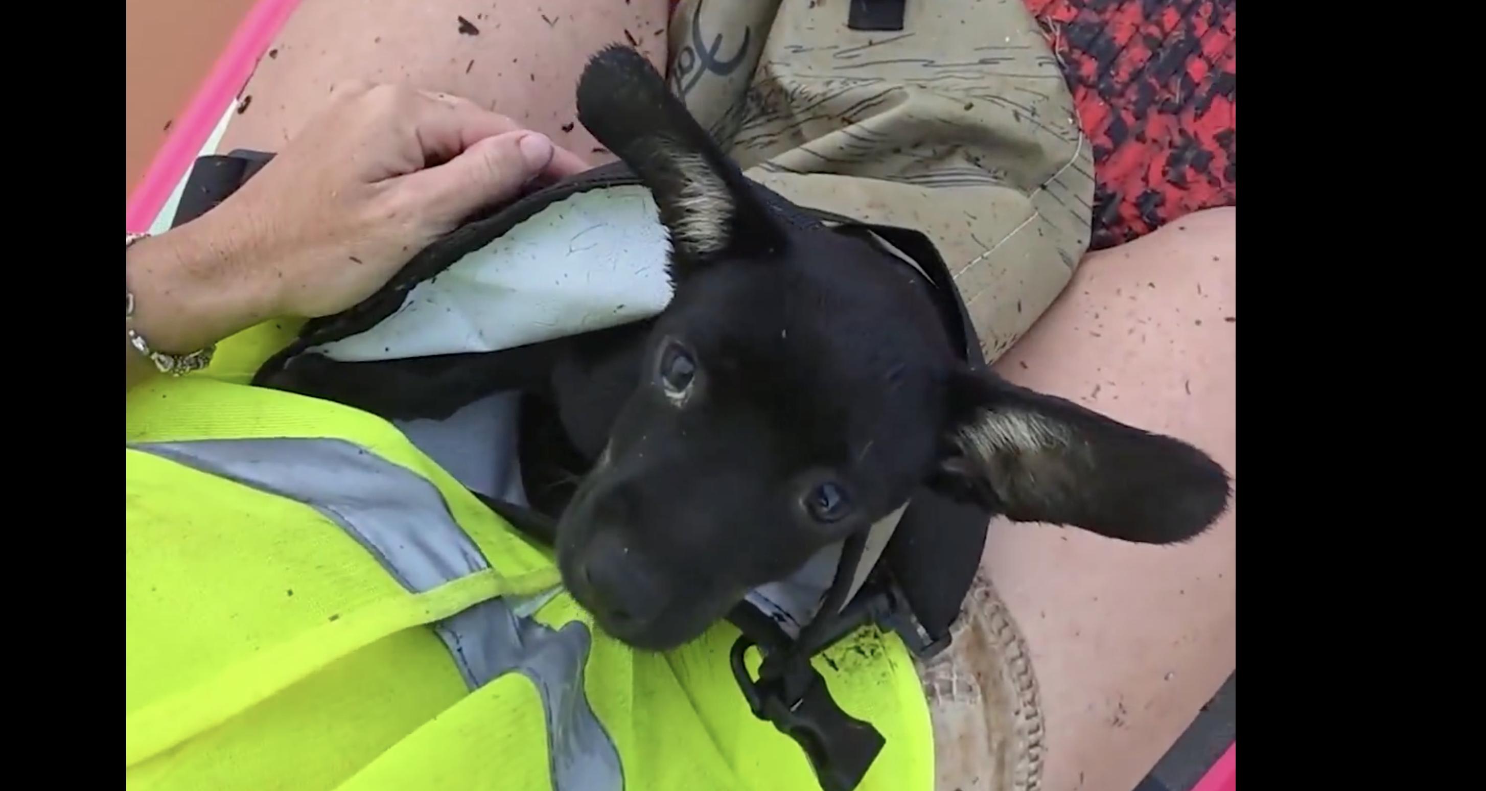 Have You Seen This? No one gets left behind