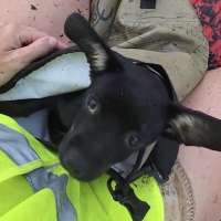 Have You Seen This? No one gets left behind