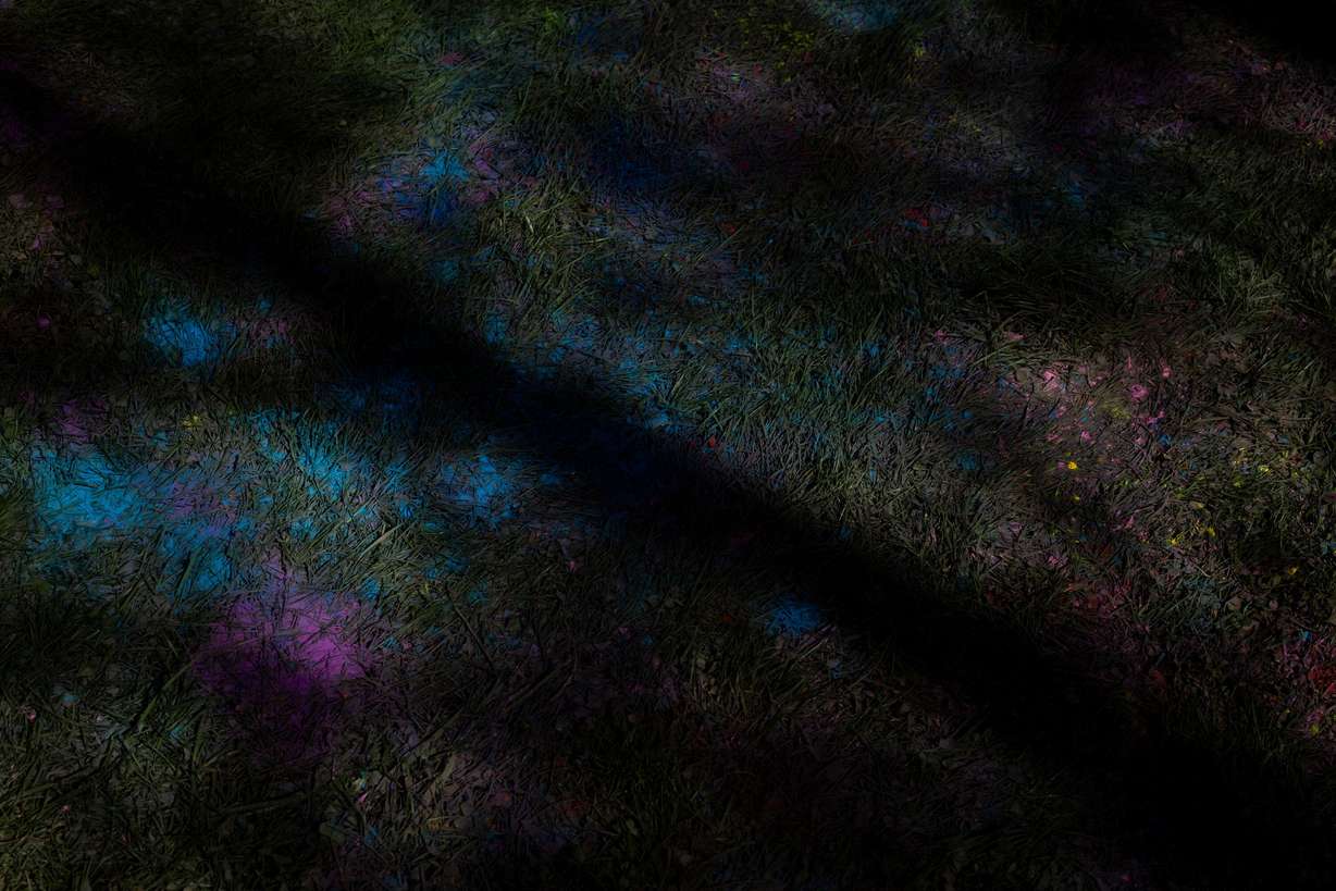 Colored powder covers the grass at the Sri Sri Radha Krishna Temple in Spanish Fork as people celebrate Holi on Saturday.