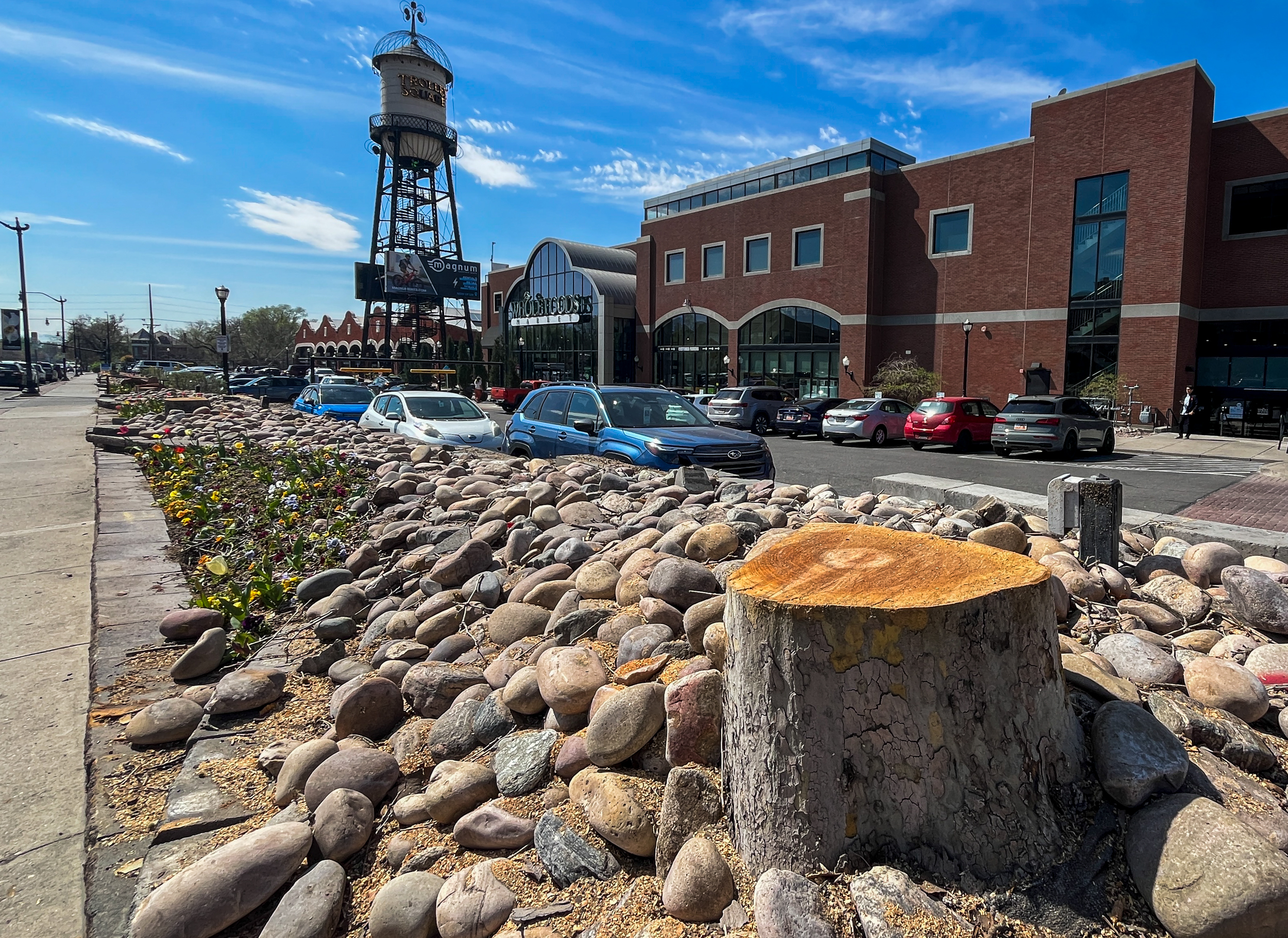 What happened to the trees outside of Trolley Square?