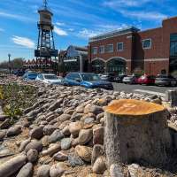 What happened to the trees outside of Trolley Square?