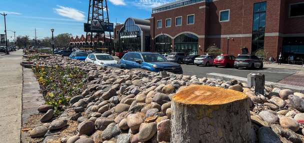 What happened to the trees outside of Trolley Square?