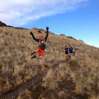 'Biting gnats' on Antelope Island leads to cancelation of popular ultra-running event