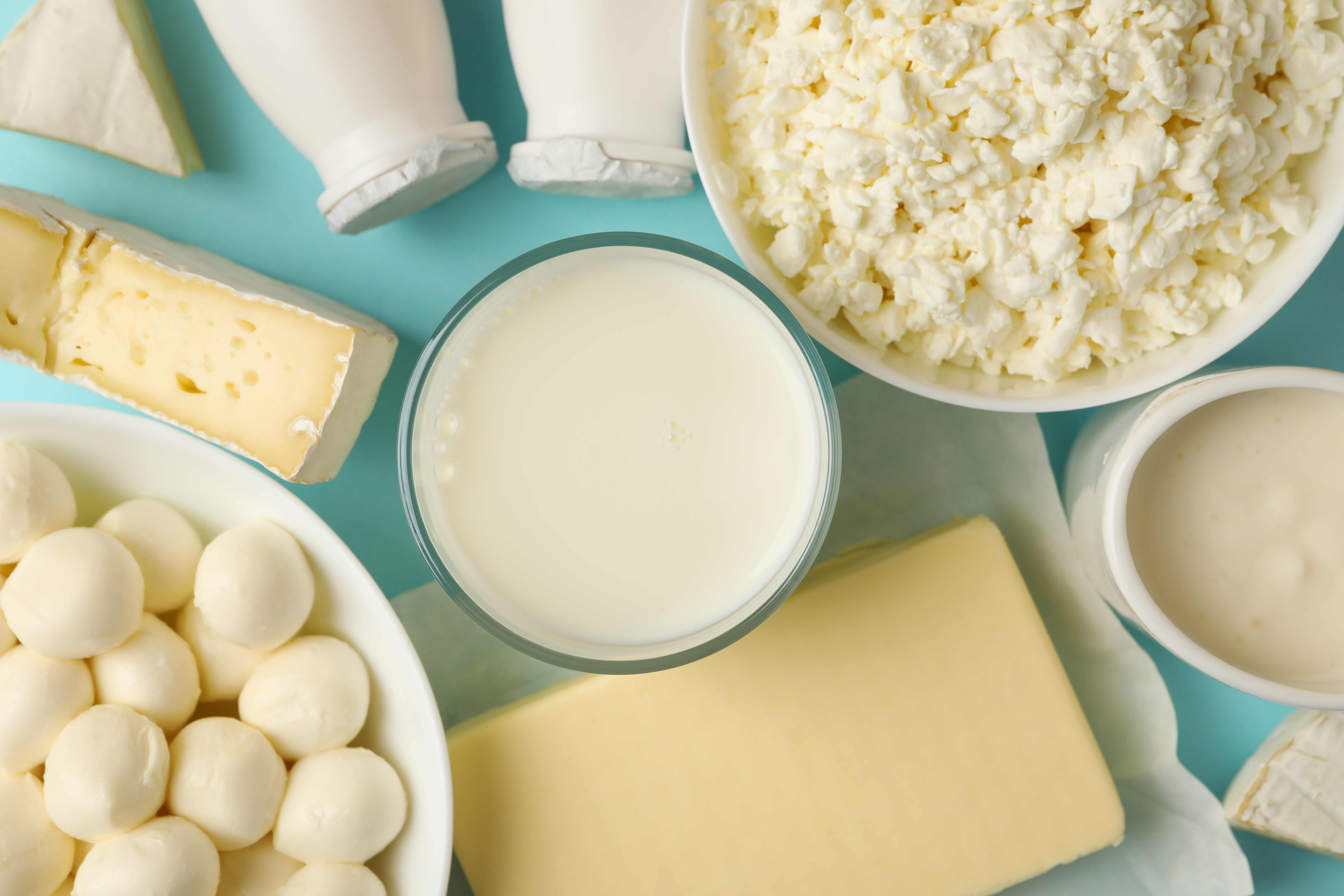 The protein-plus advantage: Why dairy foods are a smart, nutrient-rich choice