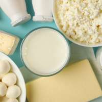 The protein-plus advantage: Why dairy foods are a smart, nutrient-rich choice