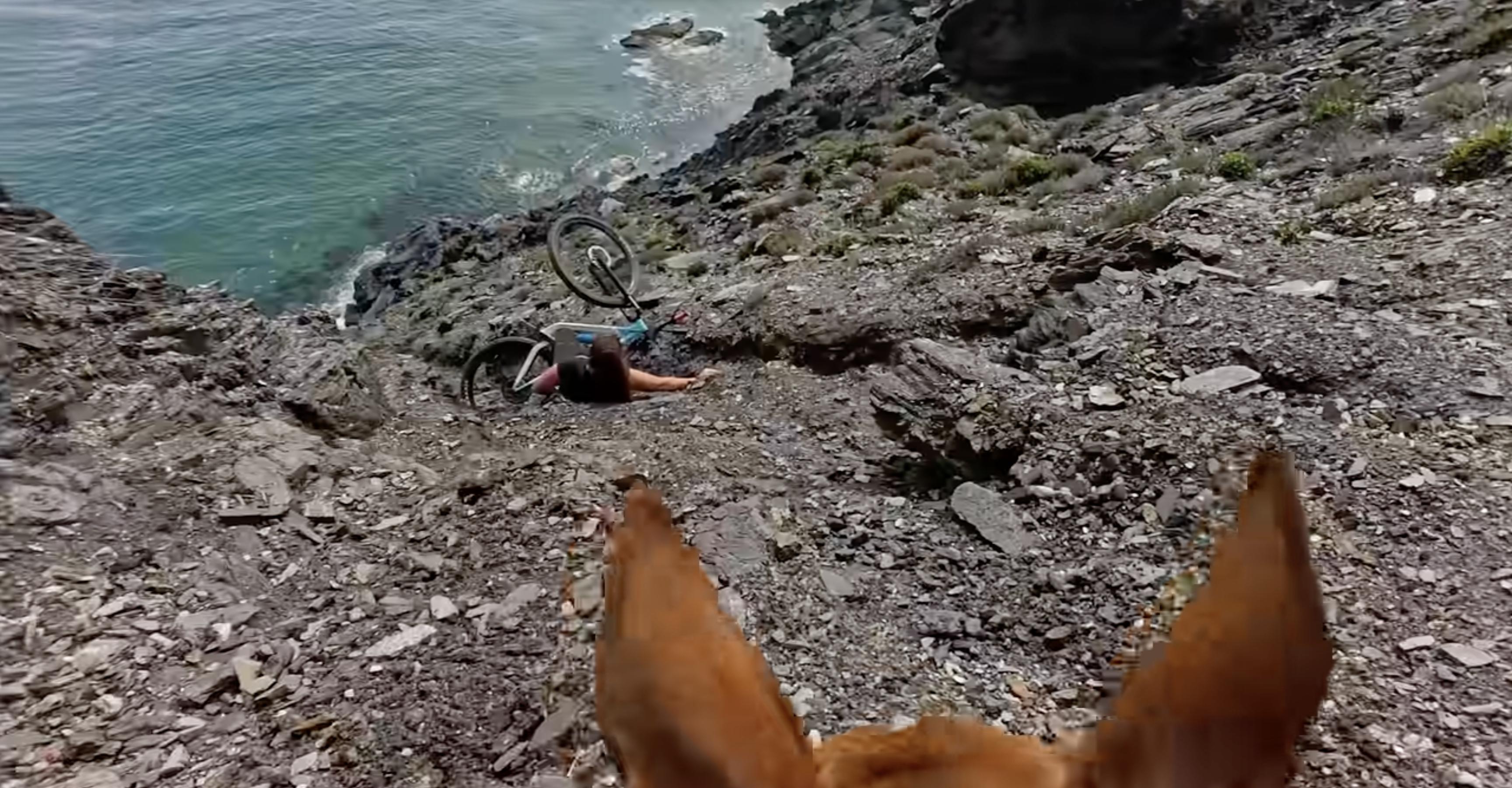 Have You Seen This? Dog nearly sends biker down cliff