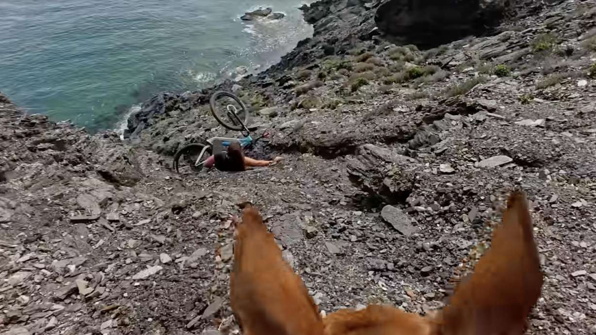 We all love our furry friends, but every pet owner can admit there are times when their presence might be less helpful and more of a nuisance, but it's not often they're a downright hazard.