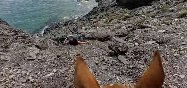 Have You Seen This? Dog nearly sends biker down cliff