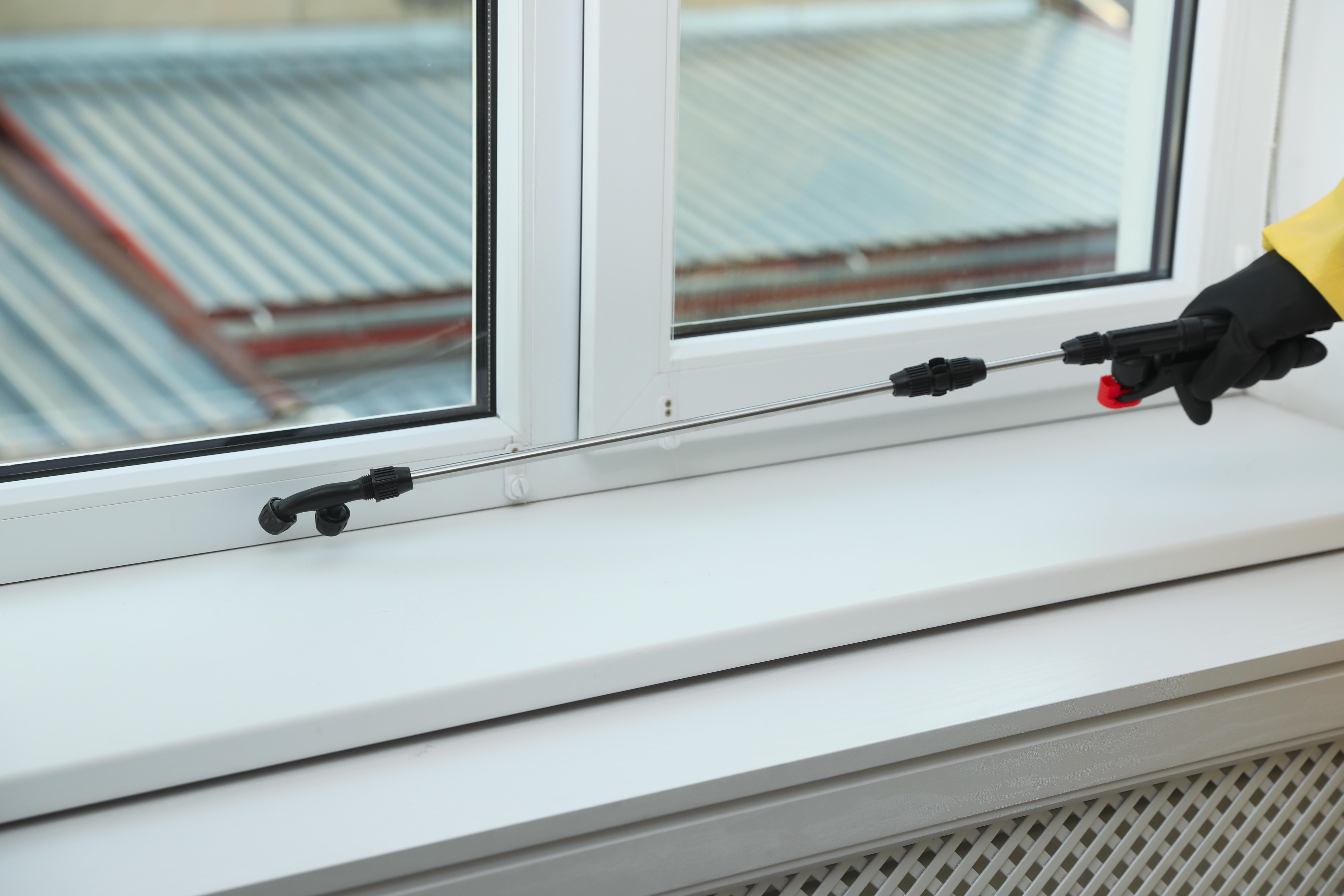 Hidden dangers of ants and spiders in Utah homes: Why prevention matters more than you think