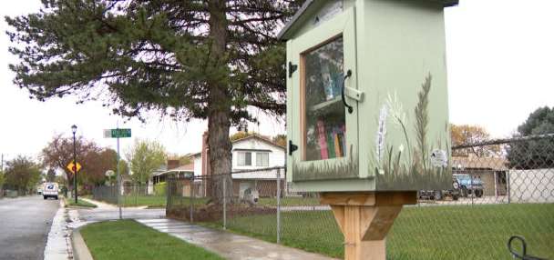 'Little Free Library' operator grateful for community response after books stolen
