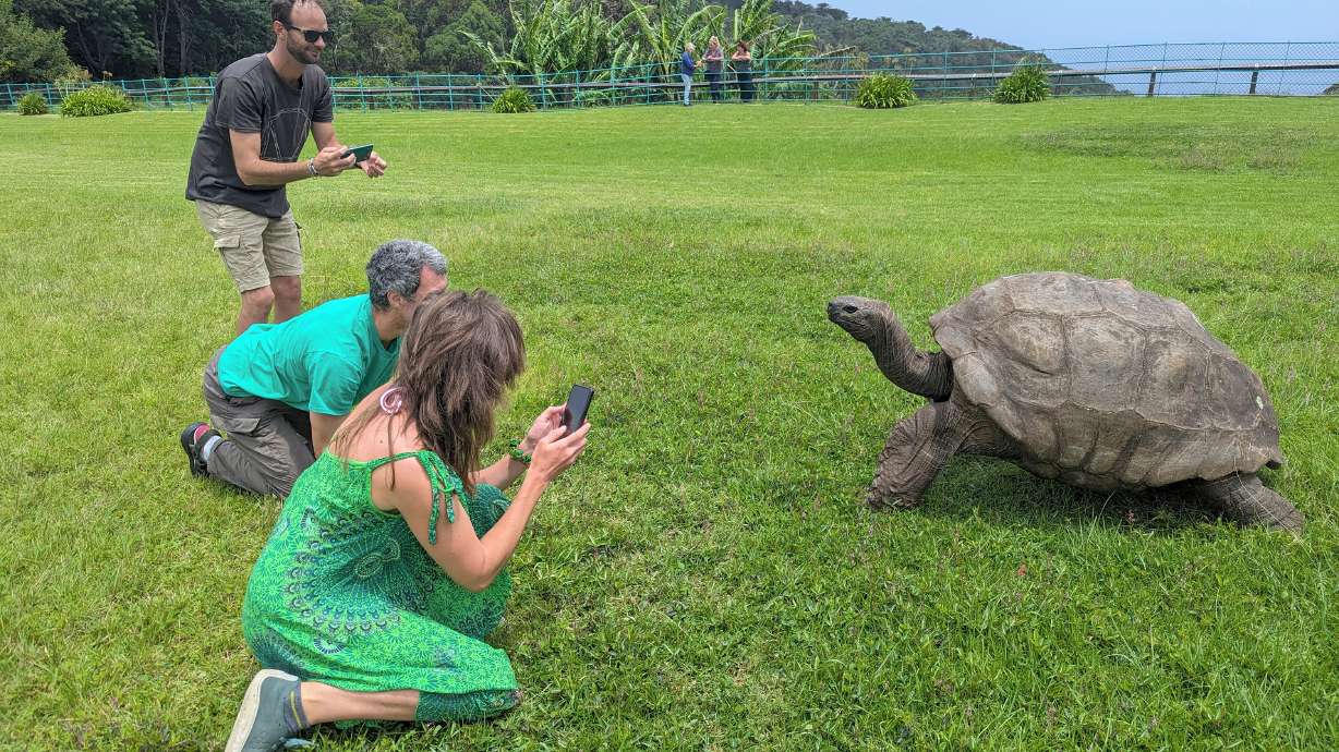 Jonathan, a then 192-year-old tortoise, on the lawn of Plantation House in Jamestown on the South Atlantic island of St. Helena, Feb. 22, 2024. Reports on April Fools' Day of the death of the world's oldest living land animal were exaggerated.