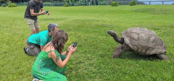 World's oldest known tortoise still very much alive despite rumor to the contrary