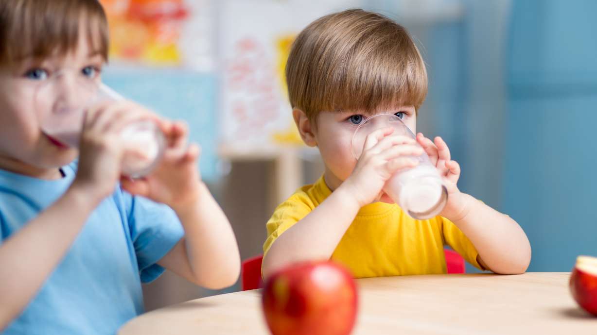 Whole milk at school: What parents should know about this nutrition shift