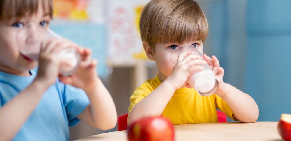 Whole milk at school: What parents should know about this nutrition shift