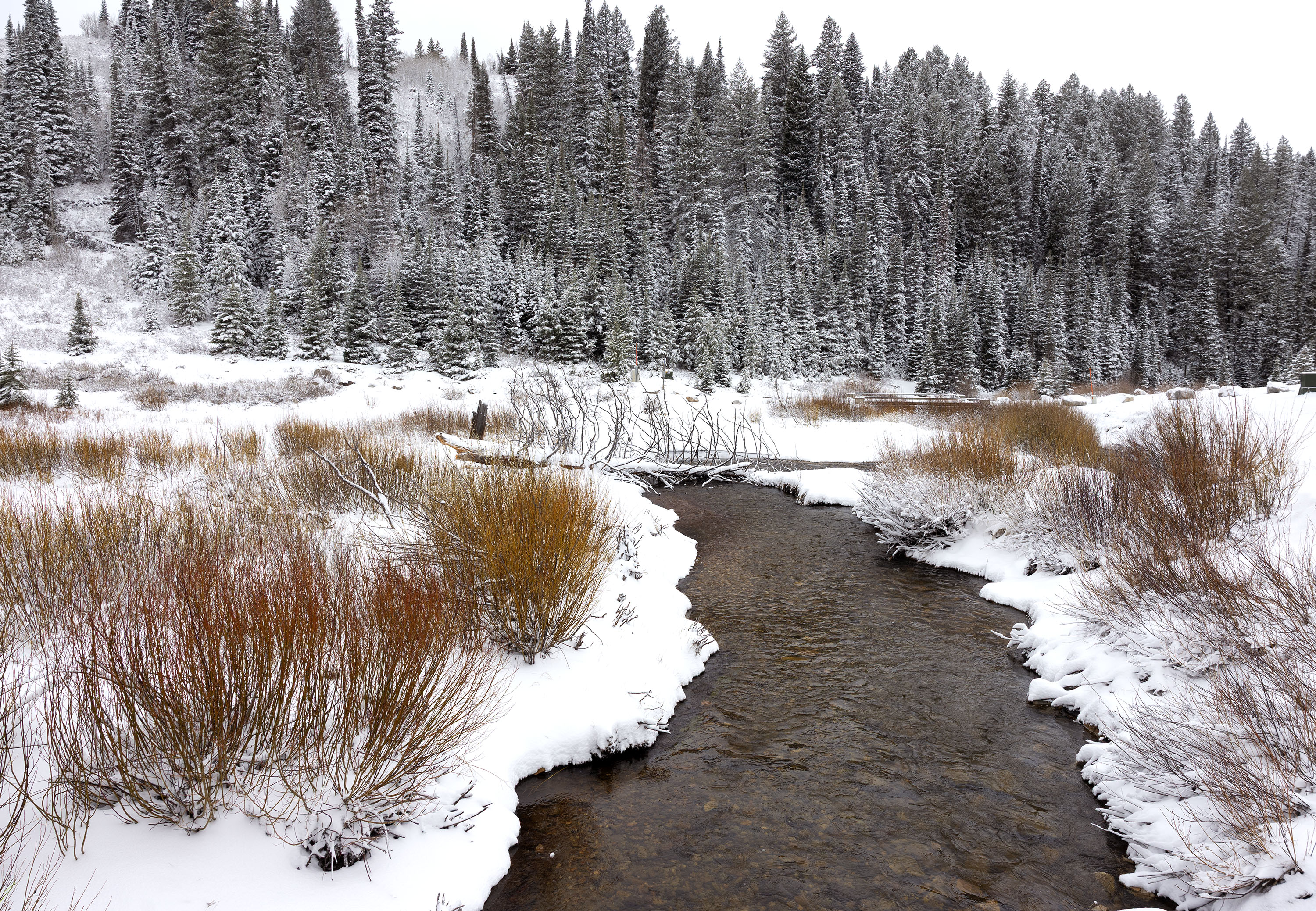 Utah breaks record for lowest April snowpack in nearly a century by 'a wide margin'