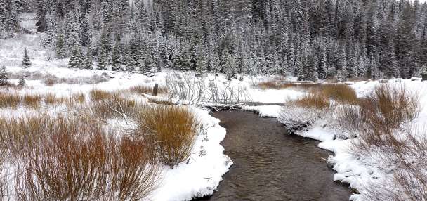 Utah breaks record for lowest April snowpack in nearly a century by 'a wide margin'