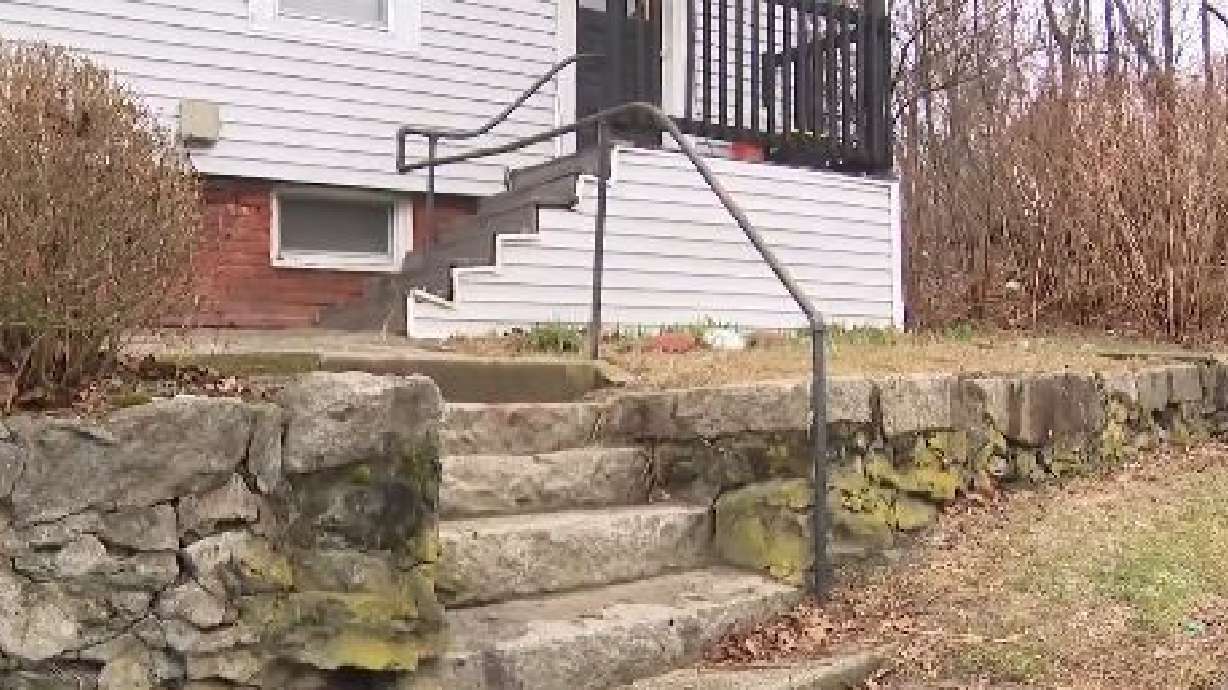 Witness Dahnyel Swenson said she saw the victim "running up the stairs, hitting it with the pocketbook, screaming" and she "got pinned against her home trying to fight this medium-sized fox."