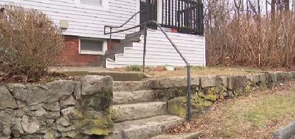 Video shows fox attacking woman