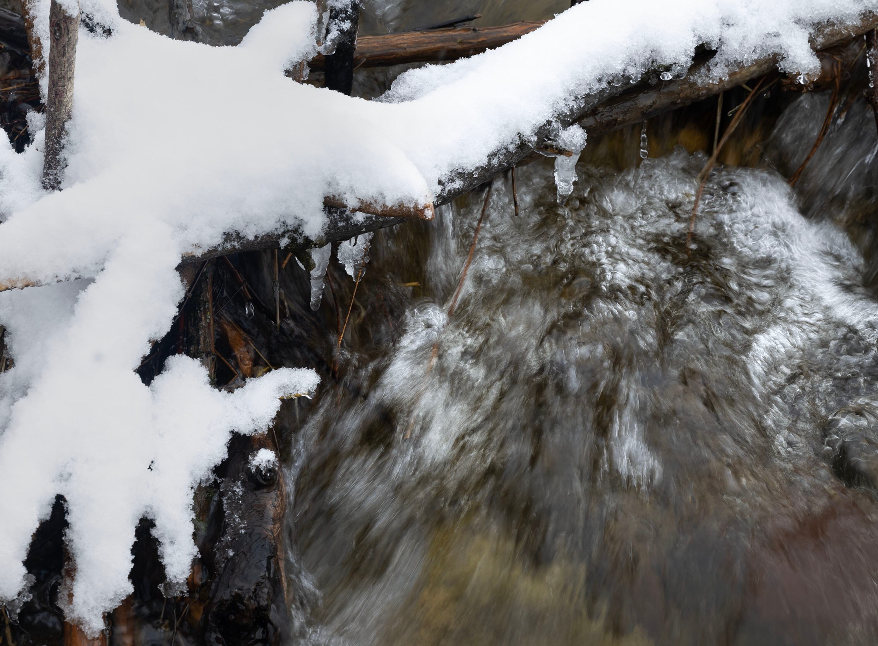 Big Cottonwood Creek flows following a much-needed snowstorm on April 2. Resorts in the Cottonwood canyons reported snow totals from 15 to 22 inches.