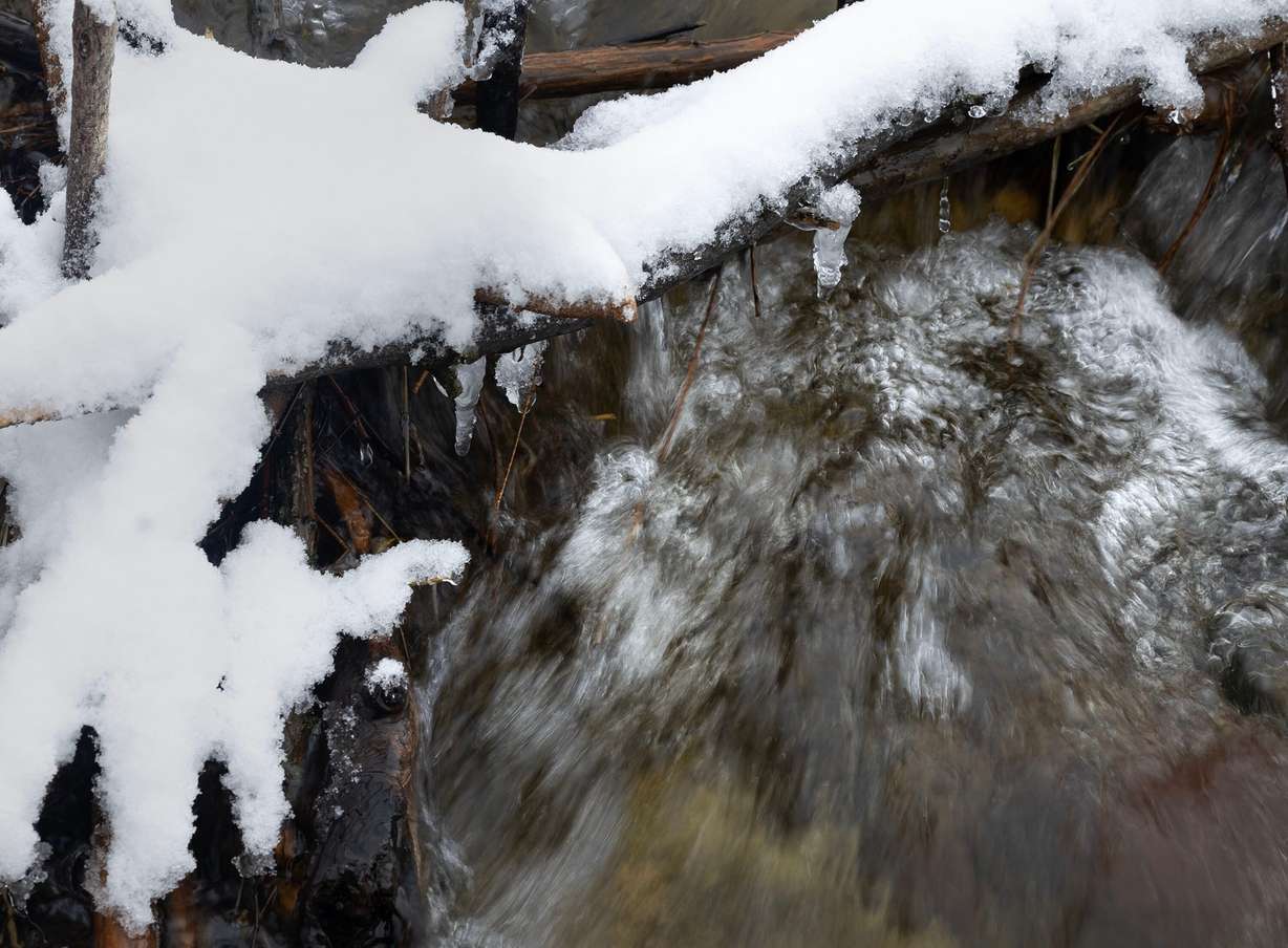 Big Cottonwood Creek flows following a much-needed snowstorm on April 2. Resorts in the Cottonwood canyons reported snow totals from 15 to 22 inches.