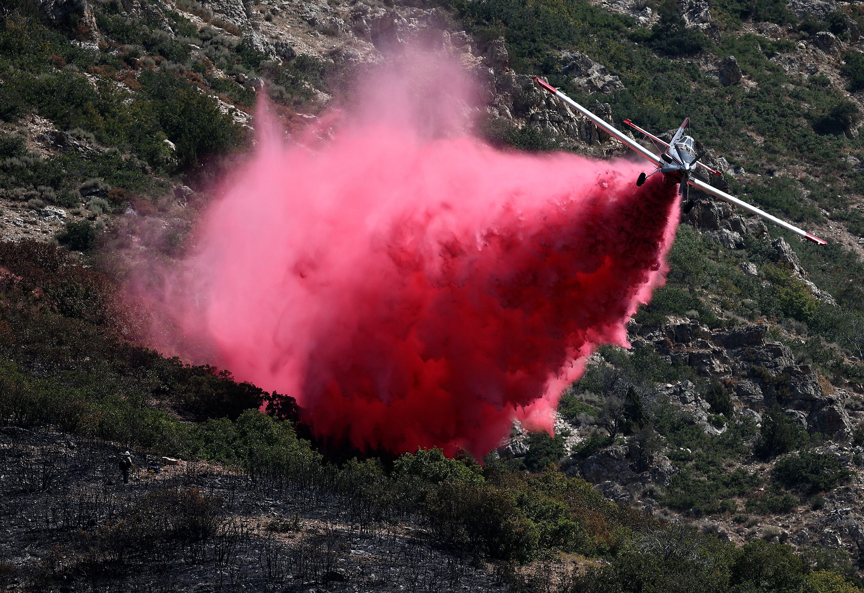A firefighter watches as a plane drops fire retardant on the Willard Peak wildfire in the mountains above North Ogden on Aug. 14, 2025.
