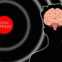 Children with 'toxic stress' may develop hidden talents, Utah psychology professor says