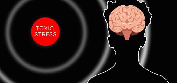 Top Utah story anchor