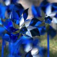 Blue pinwheels highlight child abuse prevention in West Jordan