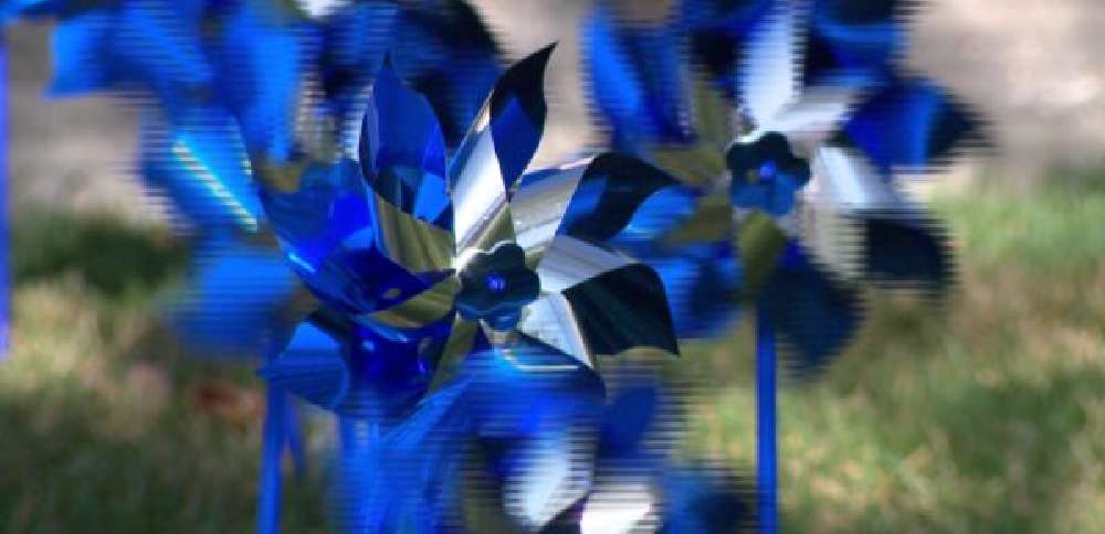 Blue pinwheels highlight child abuse prevention in West Jordan