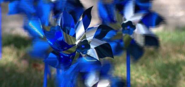 Blue pinwheels highlight child abuse prevention in West Jordan