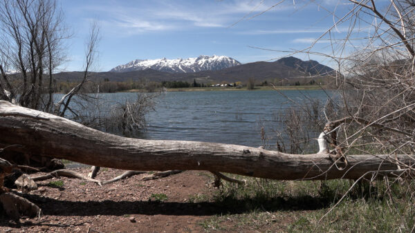 Weber Basin Water Conservancy District responds to drought with 20% restriction