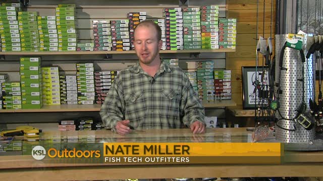 Fish Tech Fishing Report for 11/12/2011