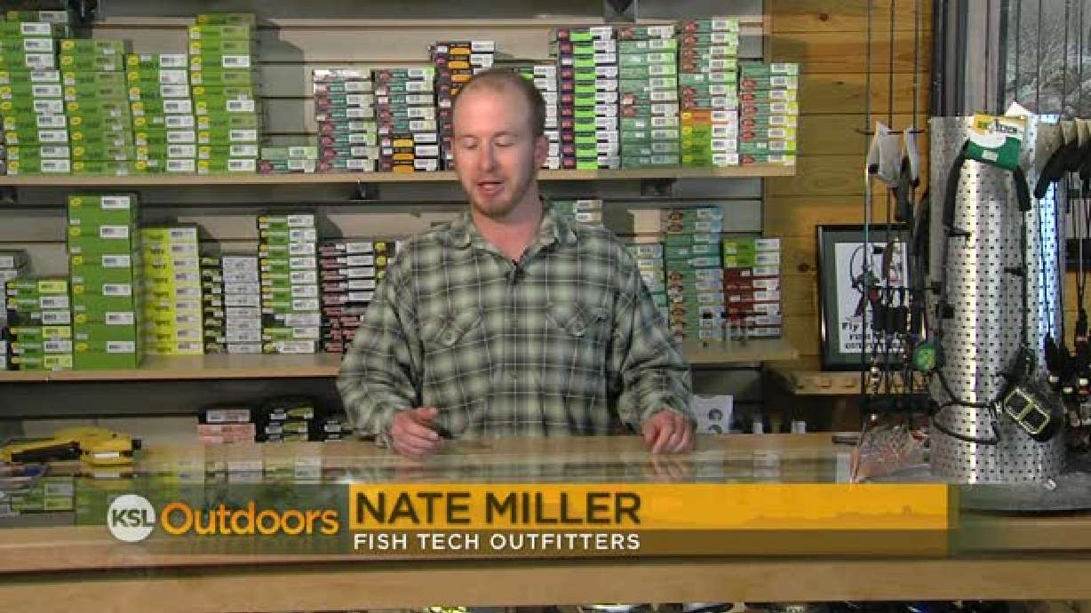Fish Tech Fishing Report for 11/12/2011