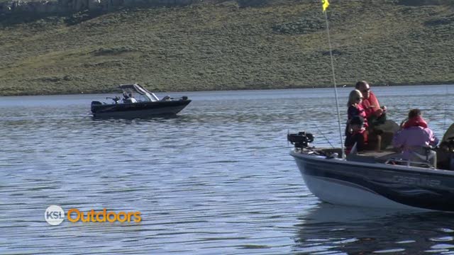 Fish Tech Fishing Report for 6/16/2012