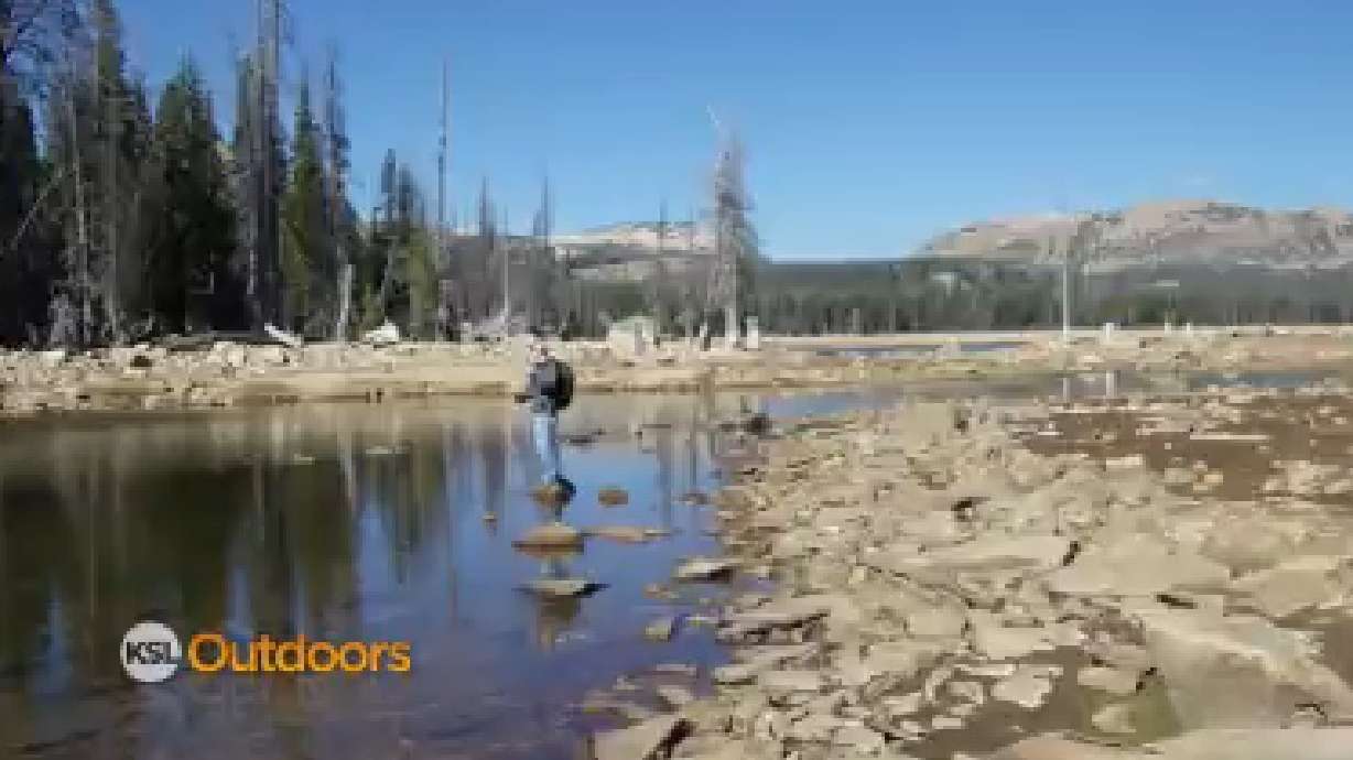 Fish Tech Fishing Report for 10/06/2012