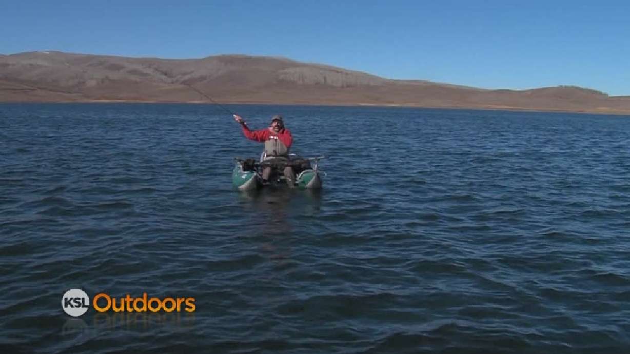 Fish Tech Fishing Report for 11/16/2013
