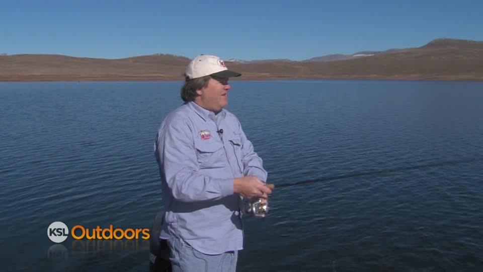 Fish Tech Fishing Report for 11/23/2013