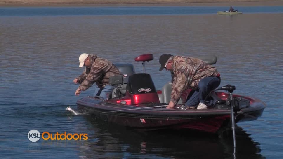 Fish Tech Fishing Report for 12/07/2013